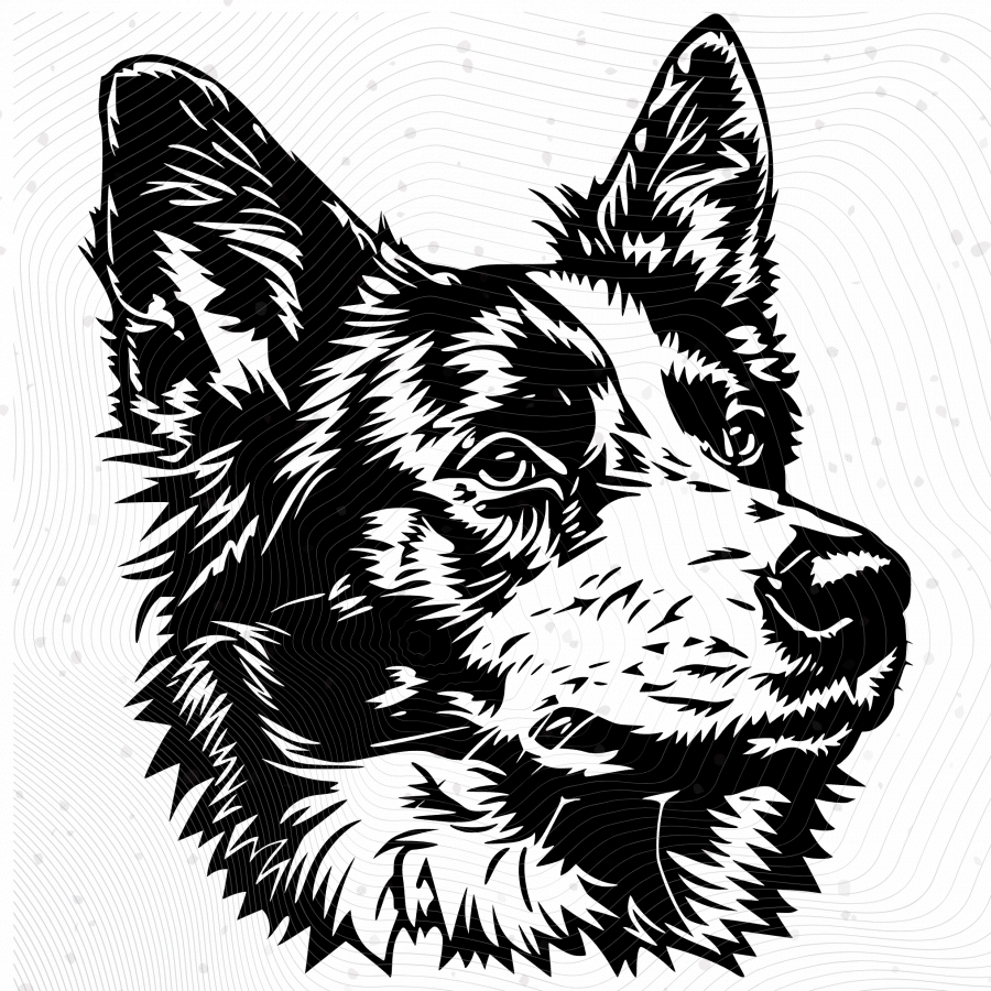 Downloadable Australian Cattle Dog 8-Image Pack