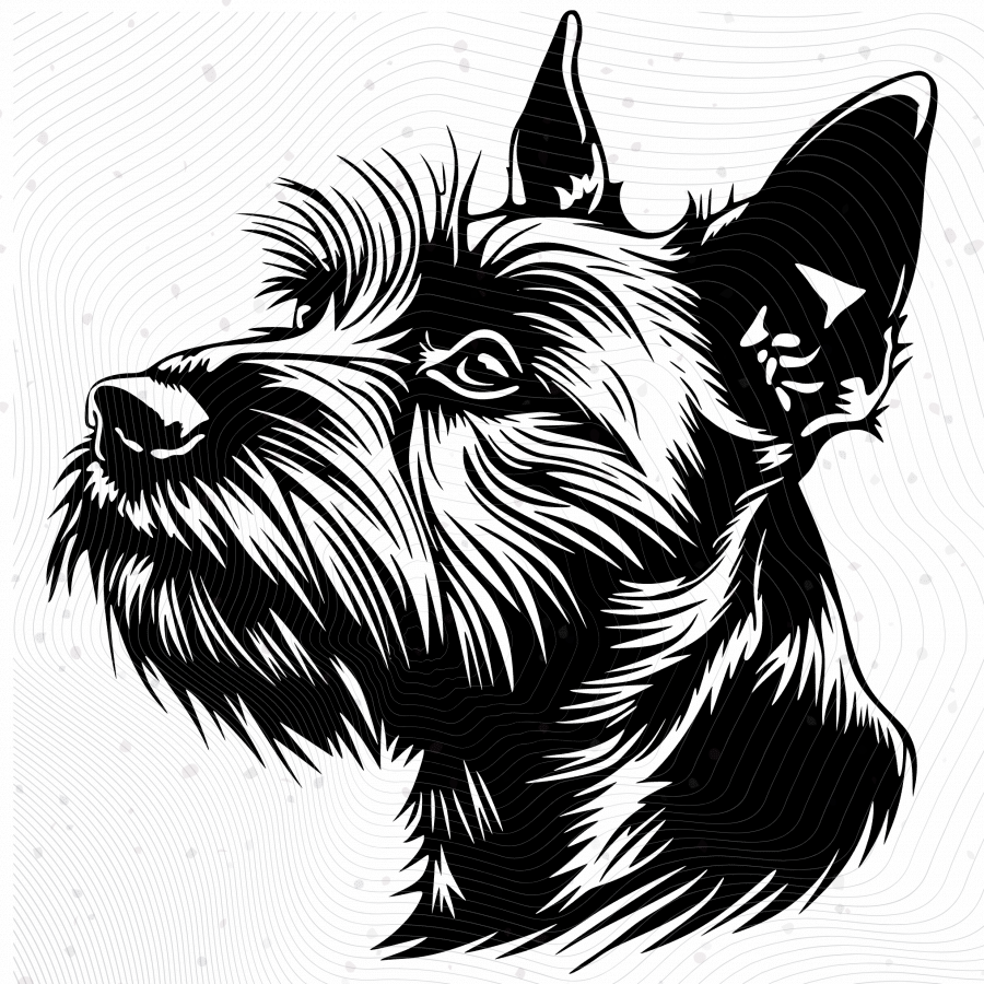 Downloadable Australian Terrier 8-Image Pack